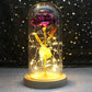 Galaxy Rose with Fairy Lights in Dome – Perfect Gift