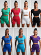 Seamless High-Waist Yoga Set – Workout Leggings & Crop Top for Women
