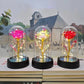 Galaxy Eternal Rose in Glass Dome