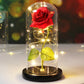Galaxy Rose with Fairy Lights in Dome – Perfect Gift