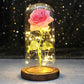 Galaxy Rose with Fairy Lights in Dome – Perfect Gift