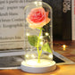 Galaxy Rose with Fairy Lights in Dome – Perfect Gift