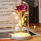 Galaxy Rose with Fairy Lights in Dome – Perfect Gift