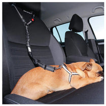 Two-in-One Dog Harness & Leash