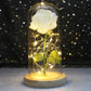 Galaxy Rose with Fairy Lights in Dome – Perfect Gift