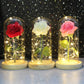 Galaxy Rose with Fairy Lights in Dome – Perfect Gift