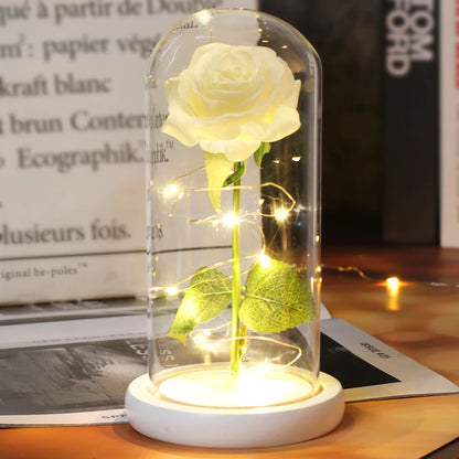 Galaxy Rose with Fairy Lights in Dome – Perfect Gift