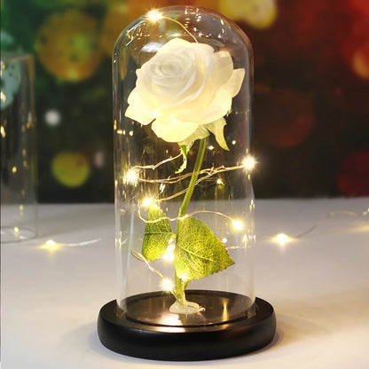 Galaxy Rose with Fairy Lights in Dome – Perfect Gift