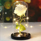 Galaxy Rose with Fairy Lights in Dome – Perfect Gift