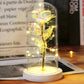 Galaxy Rose with Fairy Lights in Dome – Perfect Gift