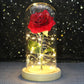 Galaxy Rose with Fairy Lights in Dome – Perfect Gift