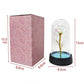 Galaxy Eternal Rose in Glass Dome